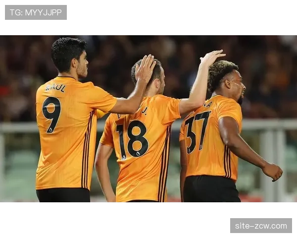 狼队5-4-1密集防守阵型 侧重低位防守但缺乏进攻牵制力